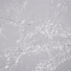 Белый камень 3000*1500MM кварца Calacatta серого цвета картины снежинки