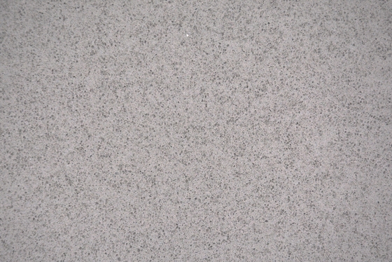 Плита 3000X1500X20mm кварца цвета серого цвета сопротивления выскальзывания класса 3 каменная для верхней части Суда кухни